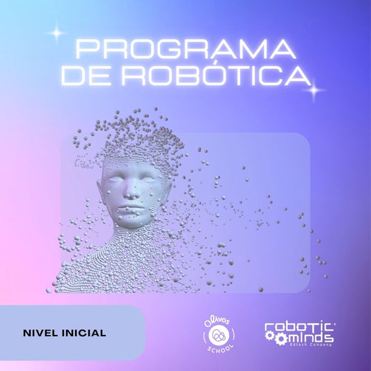 Programa de Robótica Inicial